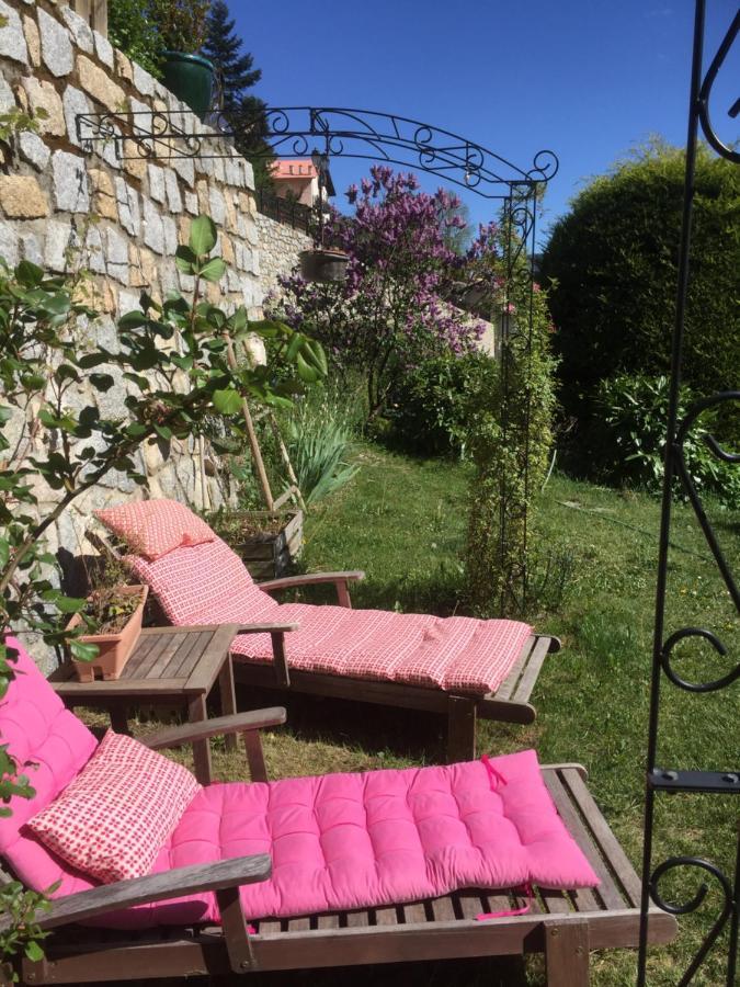 Rez De Jardin De Chalet Bois , Calme Et Verdure ! Saint-Martin-Vésubie Zewnętrze zdjęcie